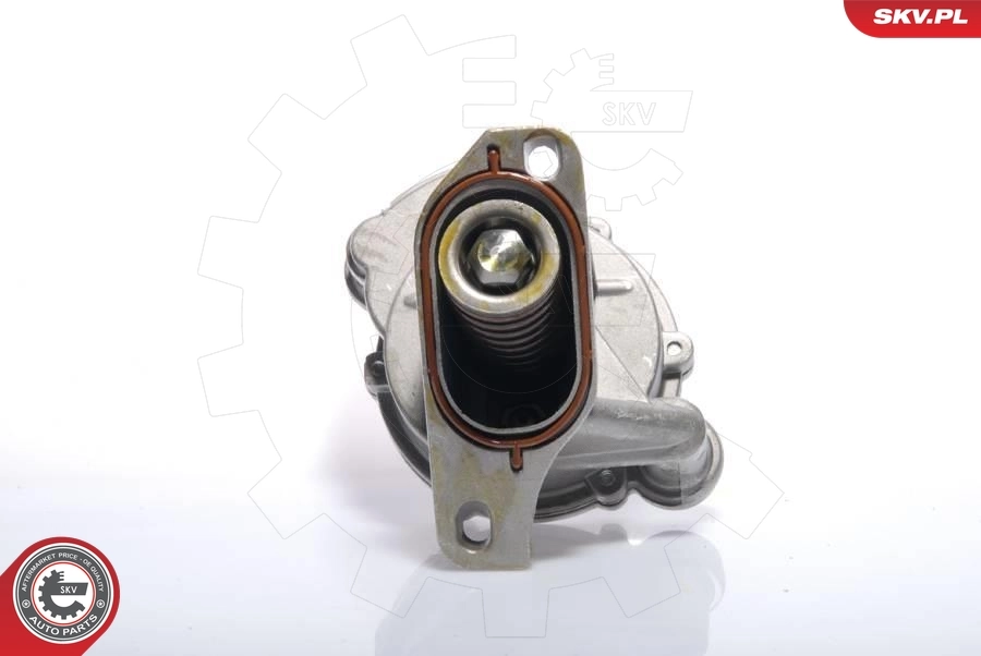 Vacuum Pump, braking system